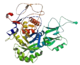 Inosine 5'-Monophosphate Dehydrogenase 2 (IMPDH2)