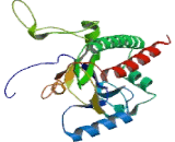 Inositol Hexaphosphate Kinase 1 (IHPK1)