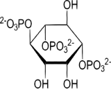 Inositol Triphosphate (IP3)