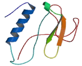 Insulin Like Growth Factor Binding Protein 2 (IGFBP2)