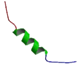 Integrin Beta 5 (ITGb5)