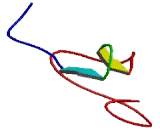 Integrin Beta Like Protein 1 (ITGbL1)