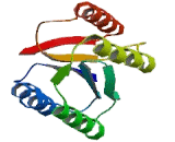 Inter Alpha-Globulin Inhibitor H4 (ITIH4)