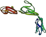 Intercellular Adhesion Molecule 5 (ICAM5)