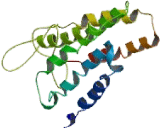 Interleukin 8 Receptor Beta (IL8Rb)