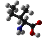 Isoleucine (Ile)