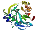 Isopentenyl Diphosphate Delta Isomerase 2 (IDI2)