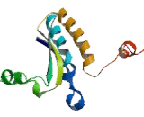 KH Domain Containing, RNA Binding, Signal Transduction Associated Protein 1 (KHDRBS1)