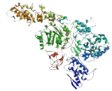 Kalirin (KALRN)