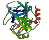 Prostate Specific Antigen (PSA)