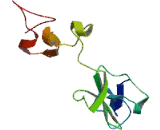 Keratin Associated Protein 5-9 (KRTAP5-9)
