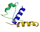 Kinesin Family, Member 26B (KIF26B)