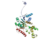 Lactate Dehydrogenase A (LDHA)