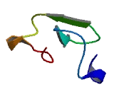 Late Cornified Envelope Protein 1C (LCE1C)