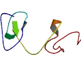 Late Cornified Envelope Protein 1D (LCE1D)
