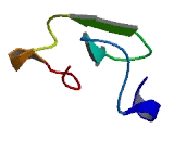 Late Cornified Envelope Protein 1E (LCE1E)