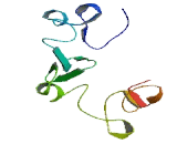 Late Cornified Envelope Protein 1F (LCE1F)