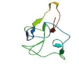Late Cornified Envelope Protein 2C (LCE2C)