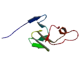 Late Cornified Envelope Protein 3A (LCE3A)