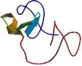 Late Cornified Envelope Protein 3E (LCE3E)