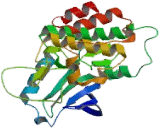 Lemur Tyrosine Kinase 3 (LMTK3)