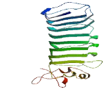 Leucine Rich Repeat Containing Protein 58 (LRRC58)