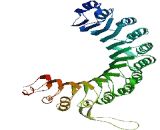 Protein Phosphatase 1, Regulatory Subunit 37 (PPP1R37)