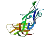 Leukocyte Immunoglobulin Like Receptor Subfamily A, Member 3 (LILRA3)