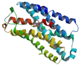 Leukotriene B4 Receptor 2 (LTB4R2)