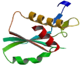 Lipase, Monoacylglycerol (MGL)