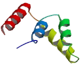 Lipophilin B, Prostatein Like (LIPB)