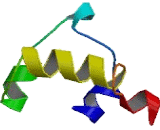 Ceramide Synthase 3 (CERS3)