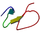 Low Density Lipoprotein Receptor Related Protein 5 (LRP5)