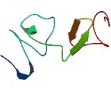 Low Density Lipoprotein Receptor Related Protein 6 (LRP6)