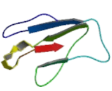 Lymphocyte Activation Gene 3 (LAG3)