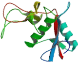 Lymphocyte Antigen 75 (LY75)