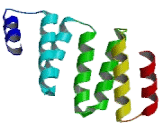 Lysine Specific Demethylase 6A (KDM6A)