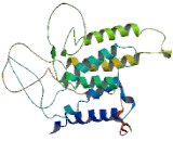 Lysophosphatidic Acid Receptor 1 (LPAR1)