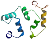 Lysophosphatidylcholine Acyltransferase 1 (LPCAT1)