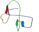 Lysyl Oxidase Like Protein 1 (LOXL1)