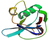 Lysyl Oxidase Like Protein 2 (LOXL2)