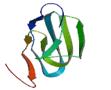 MOCO Sulphurase C-Terminal Domain Containing Protein 1 (MOSC1)