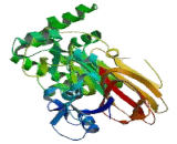 Mannose Phosphate Isomerase (MPI)