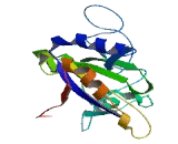 Mediator Complex Subunit 18 (MED18)