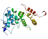 Melanoma Antigen Family B18 (MAGEB18)