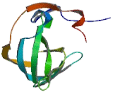 Melanoma Inhibitory Activity Protein 1 (MIA1)