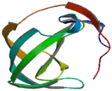 Melanoma Inhibitory Activity Protein 3 (MIA3)