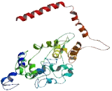 Lysophospholipid Acyltransferase 2 (LPLAT2)