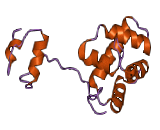 Mesencephalic Astrocyte Derived Neurotrophic Factor (MANF)