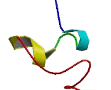 Metallothionein 1M (MT1M)